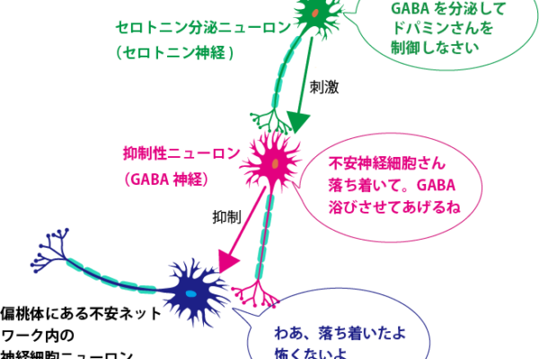 シータヒーリング　ダウンロード